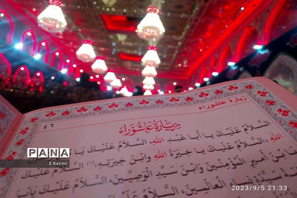 روایت اربعین، از نجف تا کربلا