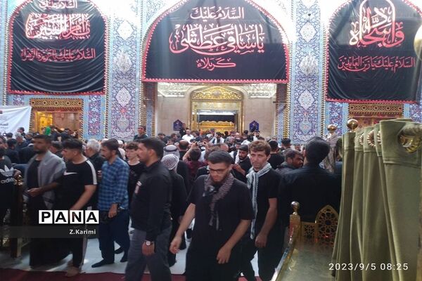 روایت اربعین، از نجف تا کربلا