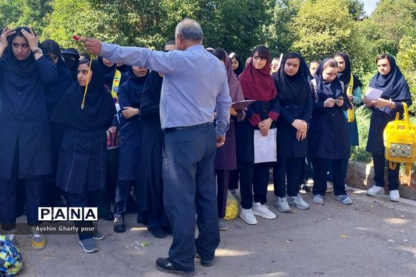 برگزاری مرحله استانی المپیاد رویش گروه دختران مقطع ابتدایی در شیراز