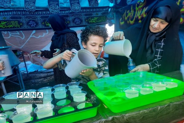 پیاده‌روی جاماندگان اربعین حسینی