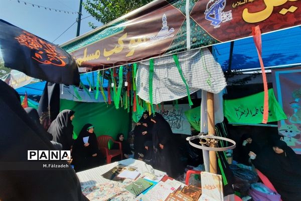 پیاده‌روی جاماندگان اربعین حسینی