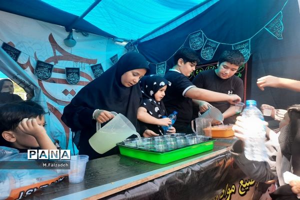 پیاده‌روی جاماندگان اربعین حسینی