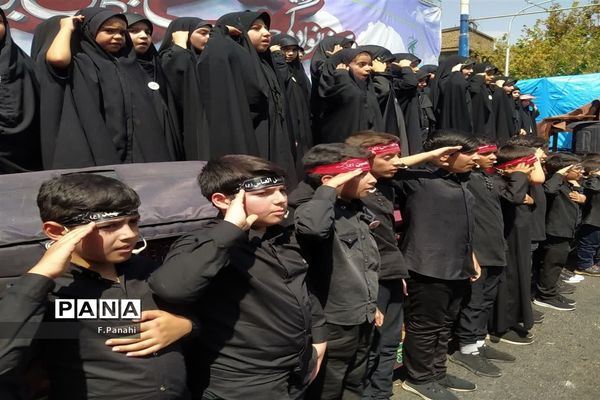 پیاده‌روی جاماندگان اربعین حسینی