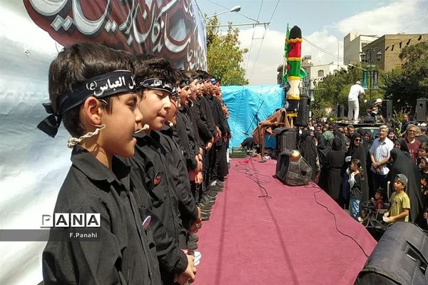 پیاده‌روی جاماندگان اربعین حسینی