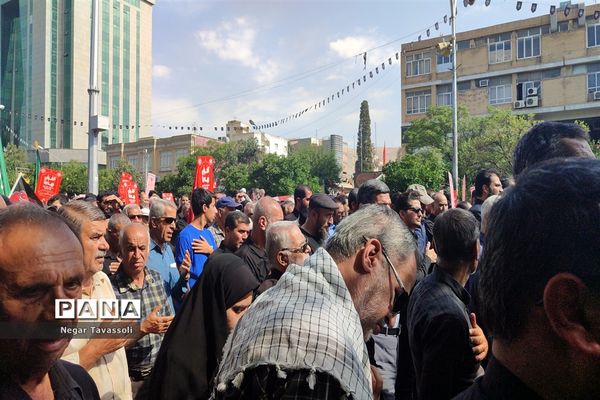 پیاده‌روی جاماندگان اربعین حسینی