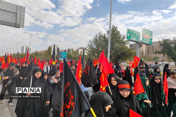 پیاده روی جاماندگان اربعین درشیراز