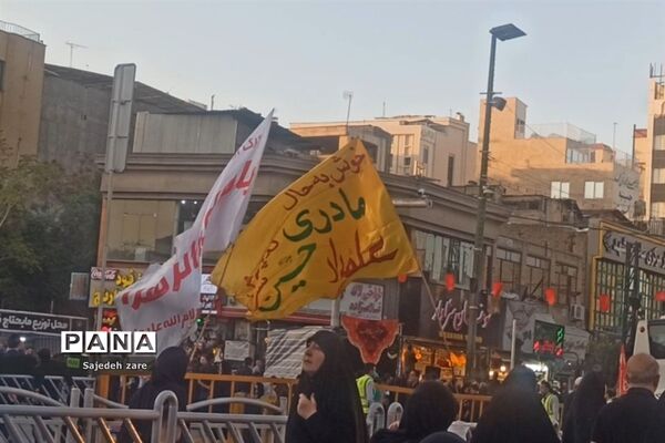 پیاده‌روی جاماندگان اربعین حسینی به حرم امام رضا (ع)