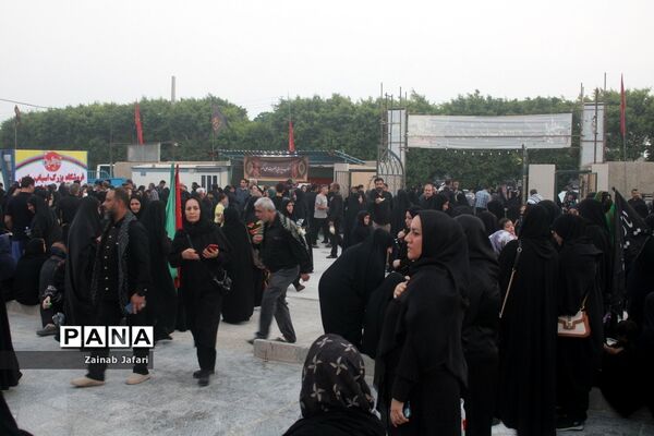 پیاده‌روی جاماندگان اربعین حسینی در بوشهر