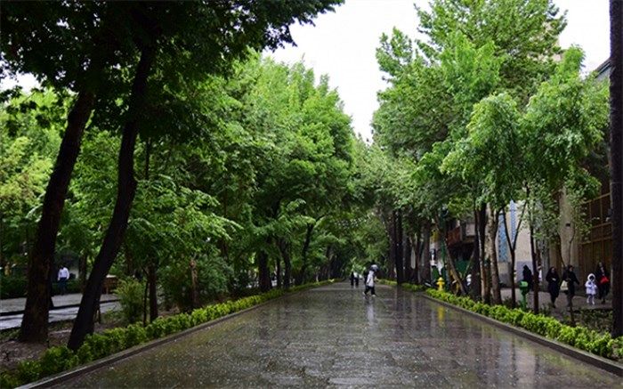 پیش‌بینی رگبار باران در برخی مناطق کشور