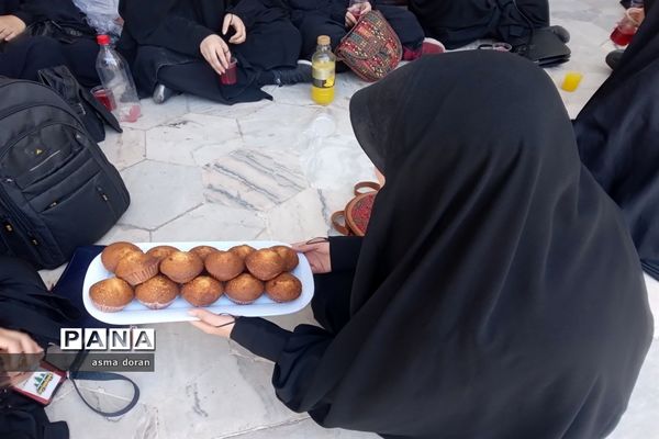 پیاده‌روی جاماندگان اربعین حسینی هیات دخترانه مهدخت