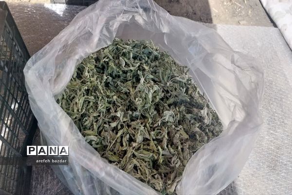 بازارچه صنایع‌دستی در بلده