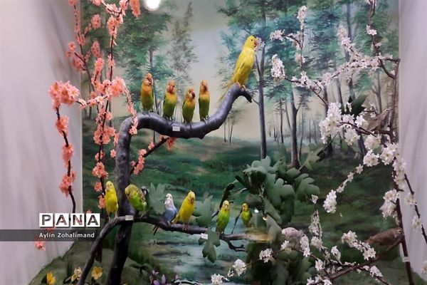 موزه تاریخ طبیعی در همدان