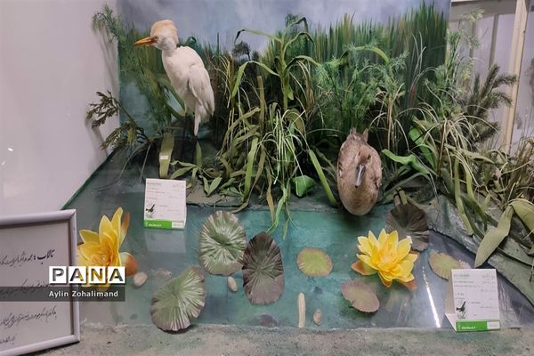 موزه تاریخ طبیعی در همدان