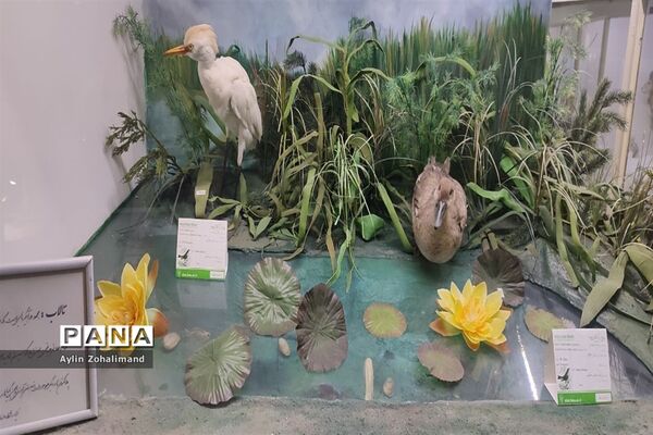 موزه تاریخ طبیعی در همدان