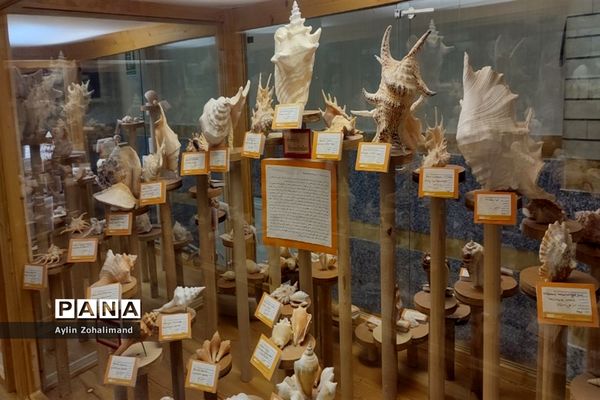 موزه تاریخ طبیعی در همدان