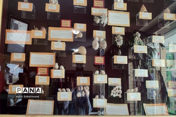 موزه تاریخ طبیعی در همدان