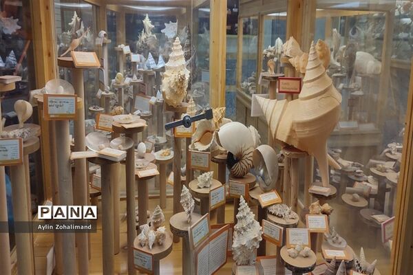 موزه تاریخ طبیعی در همدان