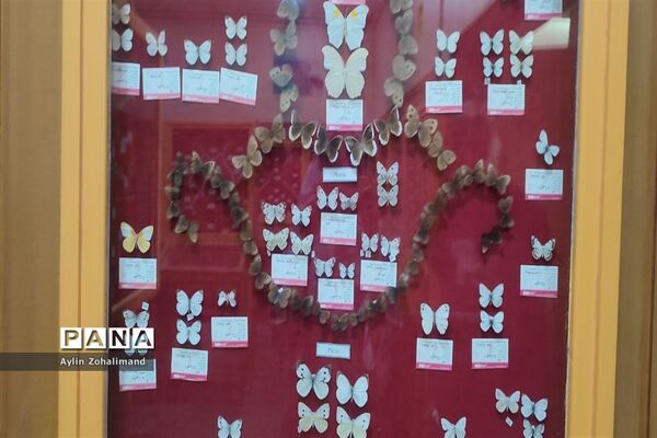 موزه تاریخ طبیعی در همدان