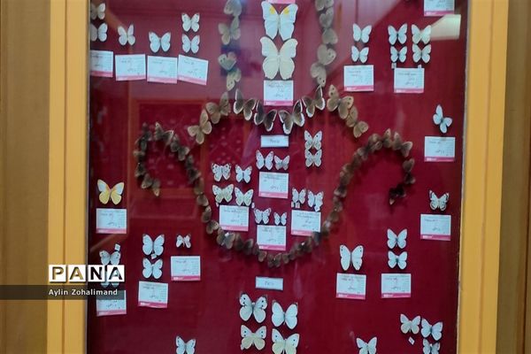 موزه تاریخ طبیعی در همدان