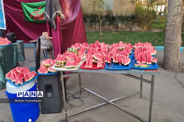 برگزاری اردوی یاوران ولایت شهرستان‌های استان تهران