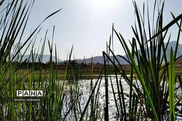 سد آبی خاکی روستای درکه در استان کرمانشاه
