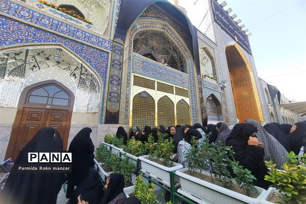 حال و هوای مشهد در روز شهادت امام رضا(ع)