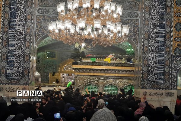 حال و هوای مشهد در روز شهادت امام رضا(ع)