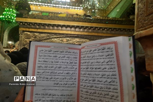 حال و هوای مشهد در روز شهادت امام رضا(ع)