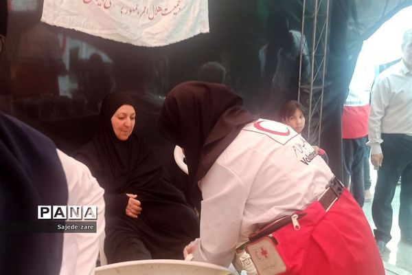 حضور پر شور دلدادگان امام رضا (ع) در مشهد مقدس