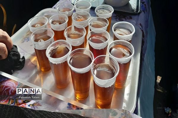 مراسم پیاده‌روی رضویّون به‌مناسبت سالروز شهادت امام رضا (ع) در شهرستان بام و صفی‌آباد