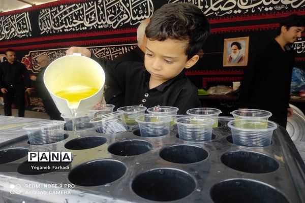 پذیرایی نواحی یک و پنج از زوار علی بن موسی الرضا (ع)