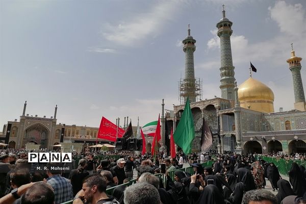 عزاداری ایام پایانی ماه صفر در حرم حضرت معصومه(س)