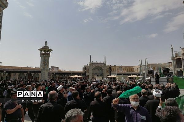 عزاداری ایام پایانی ماه صفر در حرم حضرت معصومه(س)