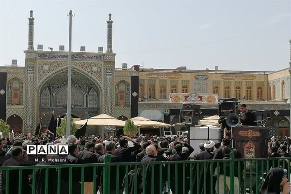 عزاداری ایام پایانی ماه صفر در حرم حضرت معصومه(س)