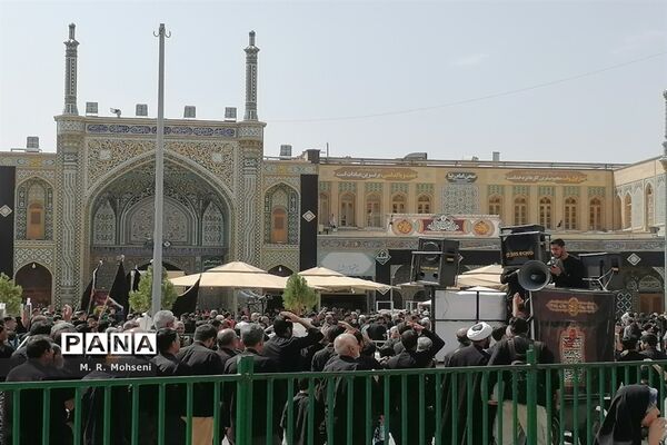 عزاداری ایام پایانی ماه صفر در حرم حضرت معصومه(س)