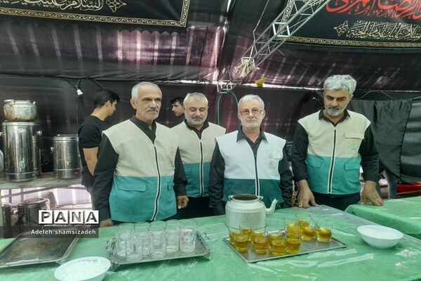 خدمت‌رسانی مردم به زائران امام رضا (ع)