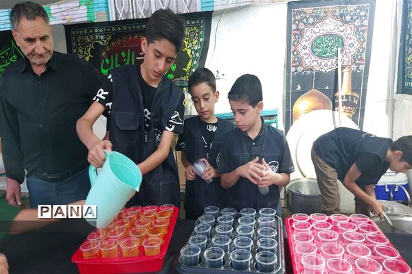 مشارکت پرشور و خودجوش دانش‌آموزان دبستان مولوی در طرح گام‌های عاشقی