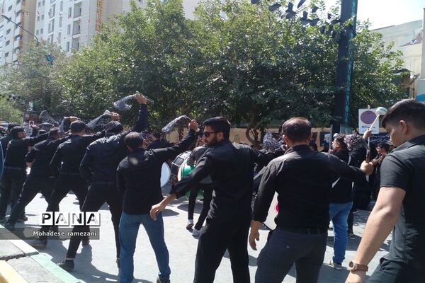 عزاداری زائران و مجاوران رضوی