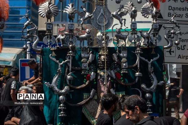 عزاداری زائران و مجاوران رضوی