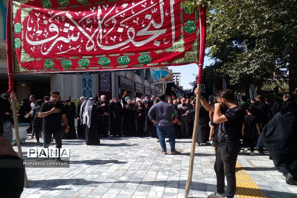 عزاداری زائران و مجاوران رضوی