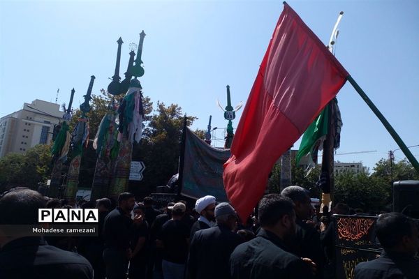 عزاداری زائران و مجاوران رضوی