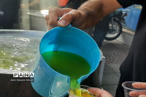 برگزاری مراسم پیاده‌روی حرم تا حرم در جهرم