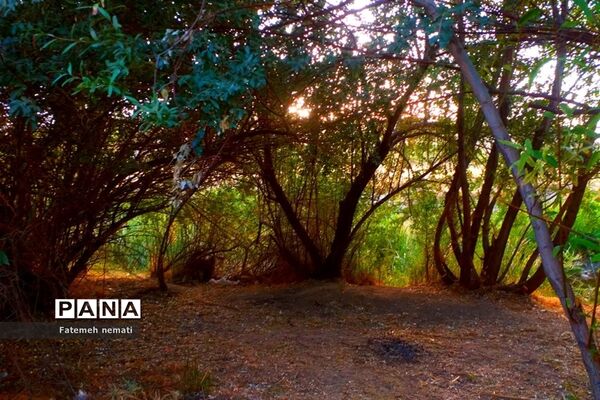 طبیعت زیبای استان مرکزی در آخرین روزهای تابستان