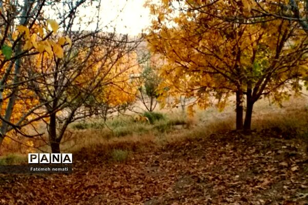 طبیعت زیبای استان مرکزی در آخرین روزهای تابستان