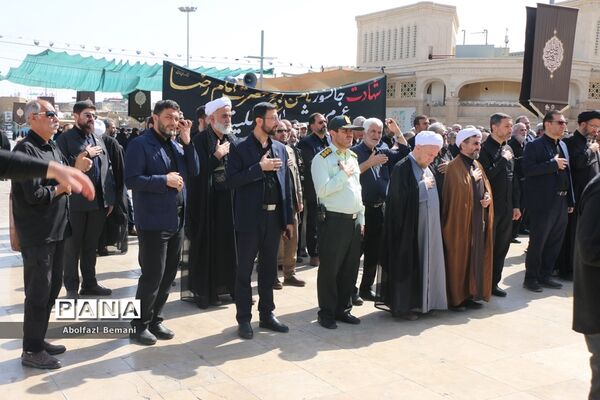 دسته عزاداری خادمان حرم خواهر در سوگ شهادت برادر