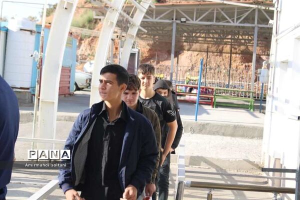 یاوران ولایت