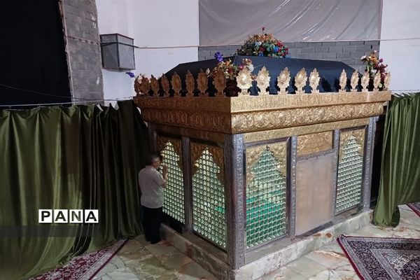 گردهمایی «با این ستاره‌ها» در شهرستان‌ اسلامشهر