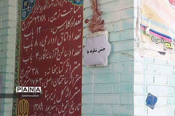 جشن شکوفه‌ها در شهرستان فیروزکوه