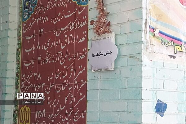 جشن شکوفه‌ها در شهرستان فیروزکوه