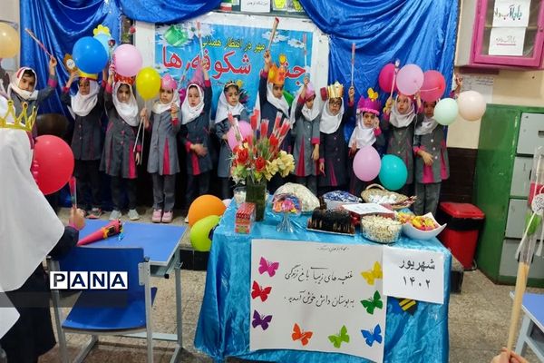 جشن شکوفه ها در هندیجان